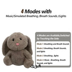 Peluche Veilleuse Musicale et Lumineuse
