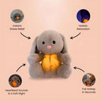 Peluche Lapin Veilleuse