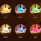 Veilleuse Tortue Rechargeable